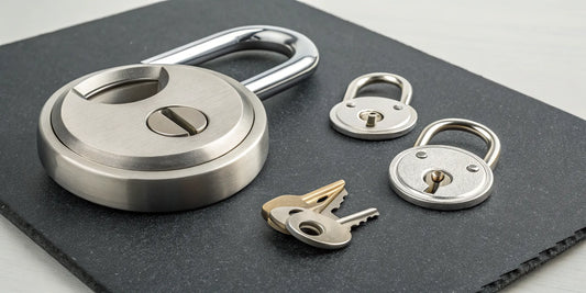 High-security stainless steel discus lock with a set of keys.